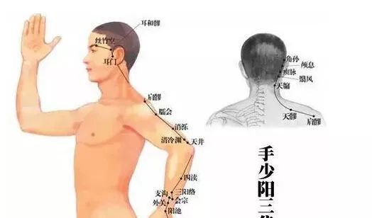 神秘三焦经,女人的出气筒!闷气、病气、火气统统可以从这里排掉... - 第2张 神秘三焦经,女人的出气筒!闷气、病气、火气统统可以从这里排掉... - 第2张