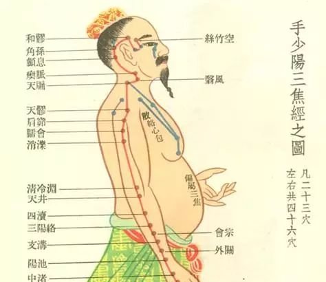 神秘三焦经,女人的出气筒!闷气、病气、火气统统可以从这里排掉... - 第3张 神秘三焦经,女人的出气筒!闷气、病气、火气统统可以从这里排掉... - 第3张