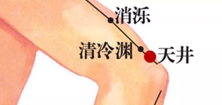 神秘三焦经,女人的出气筒!闷气、病气、火气统统可以从这里排掉... - 第8张 神秘三焦经,女人的出气筒!闷气、病气、火气统统可以从这里排掉... - 第8张