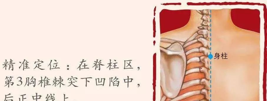 收元气、保卫气、补阴津,此三穴让您秋冬不生病! - 第4张 收元气、保卫气、补阴津,此三穴让您秋冬不生病! - 第4张