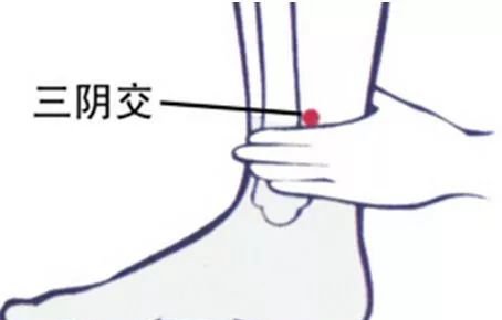 收元气、保卫气、补阴津,此三穴让您秋冬不生病! - 第5张 收元气、保卫气、补阴津,此三穴让您秋冬不生病! - 第5张