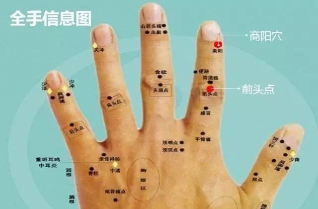 胖人补气,瘦人补血,不论胖瘦都要先补这里! - 第3张 胖人补气,瘦人补血,不论胖瘦都要先补这里! - 第3张