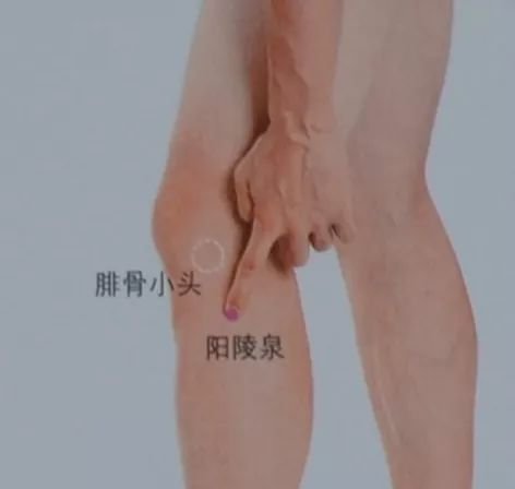 有位神医说,这8个穴位,覆盖全身疾病! - 第7张 有位神医说,这8个穴位,覆盖全身疾病! - 第7张