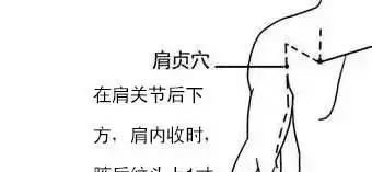 颈肩问题,久灸不断根,八成是小肠“冻”住了! - 第12张 颈肩问题,久灸不断根,八成是小肠“冻”住了! - 第12张