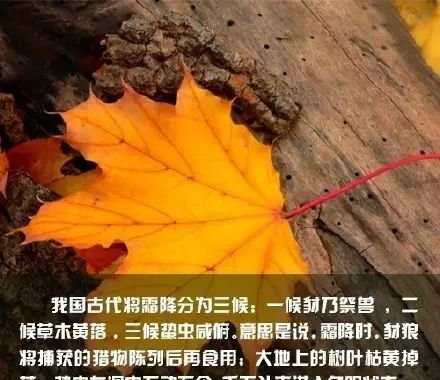 今日霜降 ~ 全家这么做 ~ 一年少生病! - 第4张 今日霜降 ~ 全家这么做 ~ 一年少生病! - 第4张