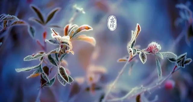 今日霜降 ~ 全家这么做 ~ 一年少生病! - 第7张 今日霜降 ~ 全家这么做 ~ 一年少生病! - 第7张
