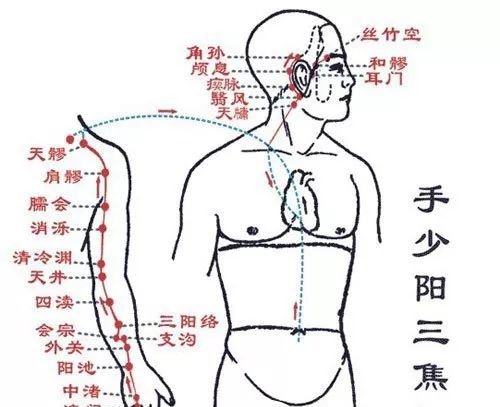 用好“这个穴位”,很多毛病就会迎刃而解,不治自消! - 第4张 用好“这个穴位”,很多毛病就会迎刃而解,不治自消! - 第4张