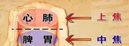 用好“这个穴位”,很多毛病就会迎刃而解,不治自消! - 第5张 用好“这个穴位”,很多毛病就会迎刃而解,不治自消! - 第5张