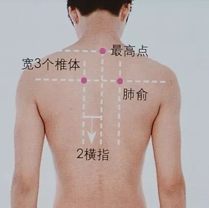 10大补气穴位,比人参还管用,气虚无力的人国庆多灸灸...... - 第4张 10大补气穴位,比人参还管用,气虚无力的人国庆多灸灸...... - 第4张