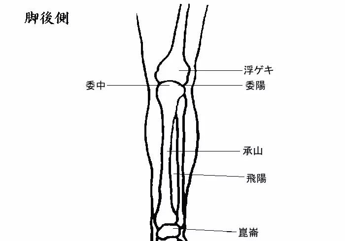 八个深藏不露的穴位,每天灸一灸,潜藏的病气统统不见! - 第9张 八个深藏不露的穴位,每天灸一灸,潜藏的病气统统不见! - 第9张