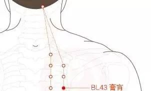 古人说：重灸此穴，大病小病都赶跑 - 第4张