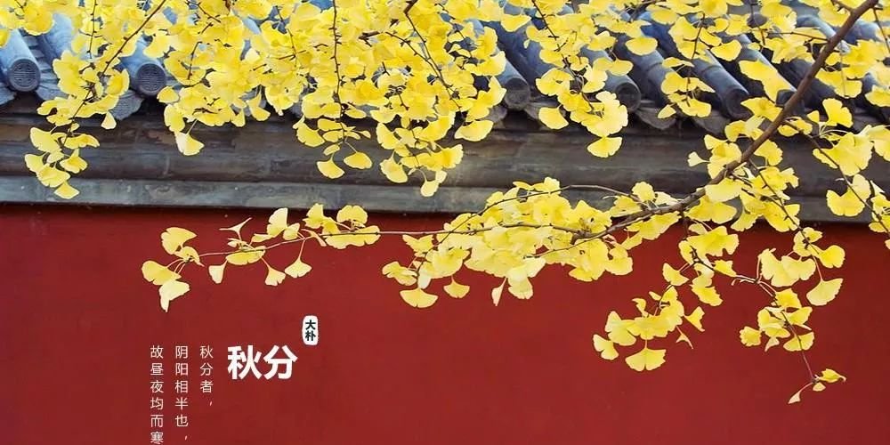 秋分至,以平为期,艾灸这里最是关键~ - 第2张 秋分至,以平为期,艾灸这里最是关键~ - 第2张
