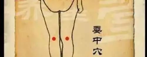一个穴位祛除腰背疼痛!一看就会,一按就灵 - 第4张 一个穴位祛除腰背疼痛!一看就会,一按就灵 - 第4张