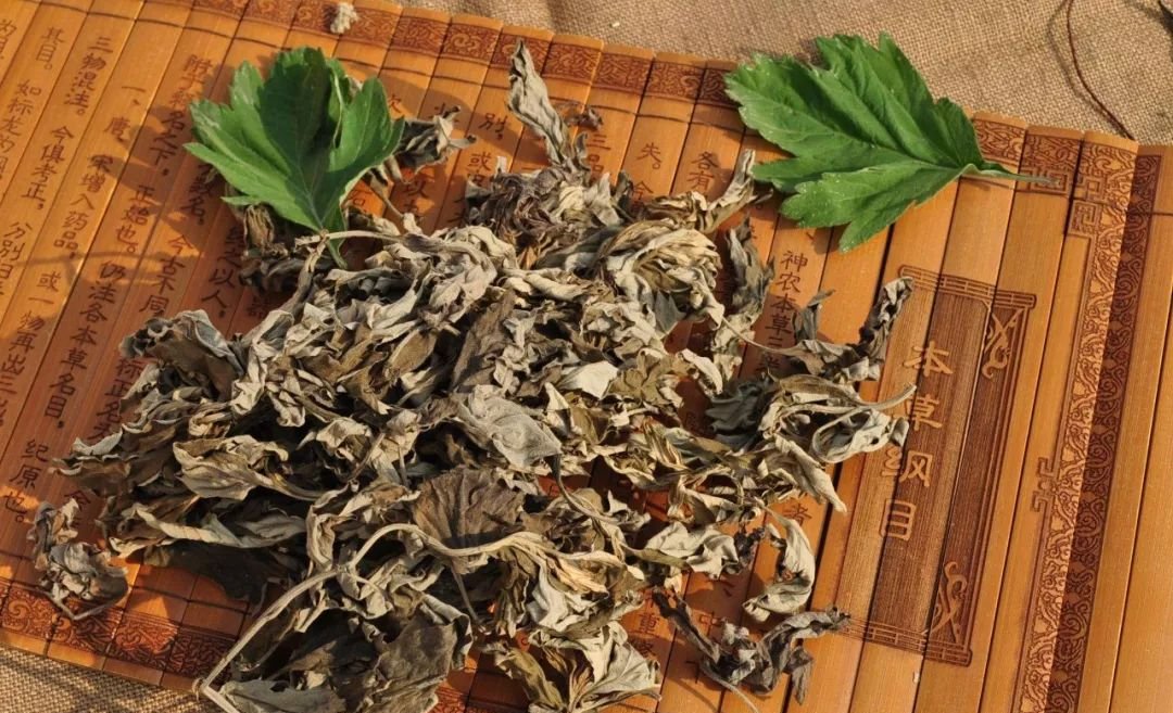 “黄金美容季”到了,此时艾灸,可解决干燥、痘痘等皮肤问题 - 第6张 “黄金美容季”到了,此时艾灸,可解决干燥、痘痘等皮肤问题 - 第6张