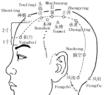 掌握“四大灵穴”,能把“风寒湿燥火”一扫光! - 第7张 掌握“四大灵穴”,能把“风寒湿燥火”一扫光! - 第7张