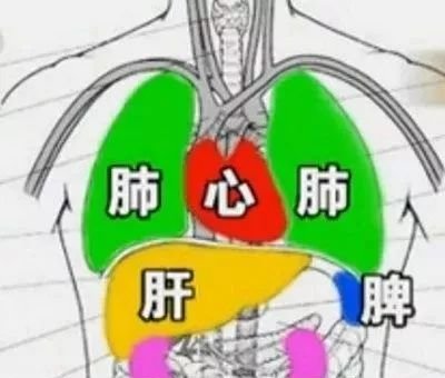 上下不通,重在中焦;表里不和,重在少阳。妙用艾灸,一气贯通! - 第4张 上下不通,重在中焦;表里不和,重在少阳。妙用艾灸,一气贯通! - 第4张