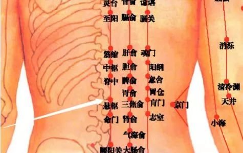 记忆力衰退灸此穴,年轻人也适用! - 第8张 记忆力衰退灸此穴,年轻人也适用! - 第8张