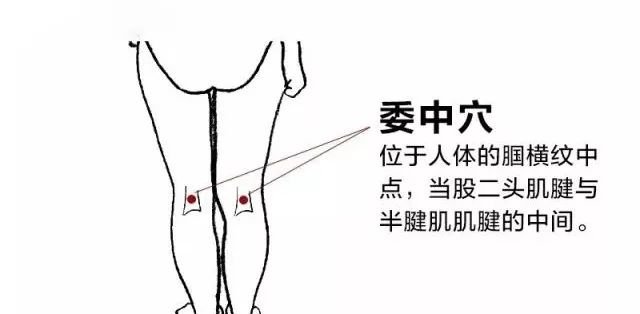 老中医四句话,总结4大特效穴,每个喜欢艾灸的人都该知道! - 第7张 老中医四句话,总结4大特效穴,每个喜欢艾灸的人都该知道! - 第7张
