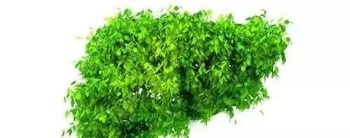 秋天七个穴位排肝毒,艾灸为您的健康保驾护航! - 第3张 秋天七个穴位排肝毒,艾灸为您的健康保驾护航! - 第3张