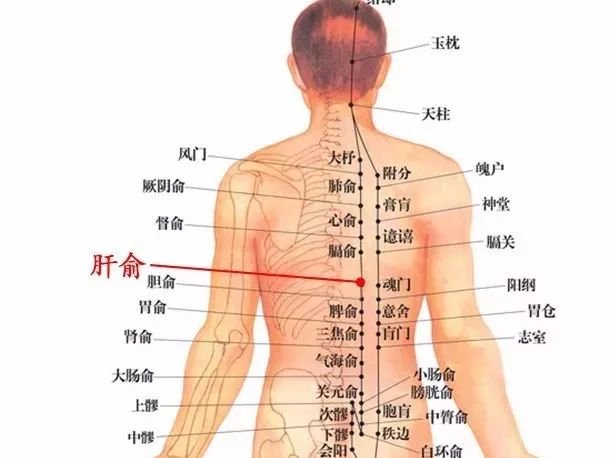秋天七个穴位排肝毒,艾灸为您的健康保驾护航! - 第4张 秋天七个穴位排肝毒,艾灸为您的健康保驾护航! - 第4张