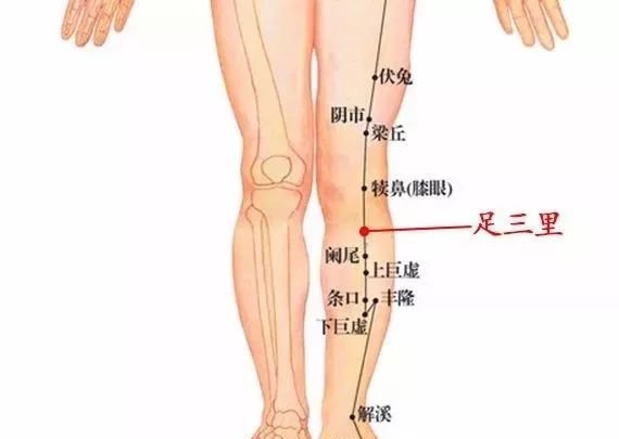 秋天七个穴位排肝毒,艾灸为您的健康保驾护航! - 第6张 秋天七个穴位排肝毒,艾灸为您的健康保驾护航! - 第6张