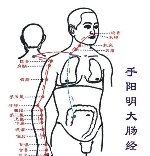 今日处暑，3件事不能做，1件事必须做，秋冬才能不吃亏！ - 第4张