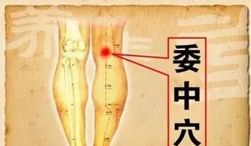 常灸十穴:助长寿、祛百病! - 第7张 常灸十穴:助长寿、祛百病! - 第7张