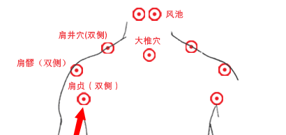 颈椎病、肩周炎的死穴原来是它!自己动手灸透它,病根就没有了 - 第7张 颈椎病、肩周炎的死穴原来是它!自己动手灸透它,病根就没有了 - 第7张