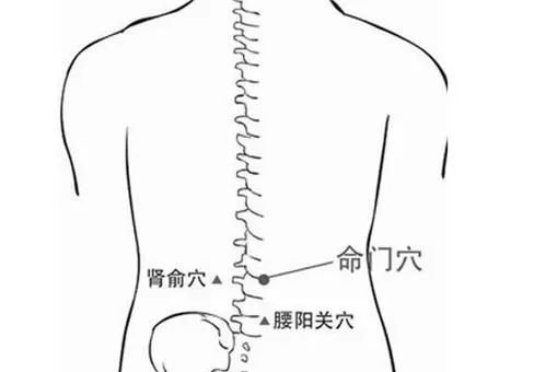 你是如何一步步走向衰老的?“四十腰、五十肩、六十耳”,艾灸让你比同龄人年轻10岁! - 第2张 你是如何一步步走向衰老的?“四十腰、五十肩、六十耳”,艾灸让你比同龄人年轻10岁! - 第2张