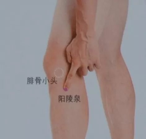 有10个穴位艾灸堪比吃10种中药!太实用了 - 第5张 有10个穴位艾灸堪比吃10种中药!太实用了 - 第5张