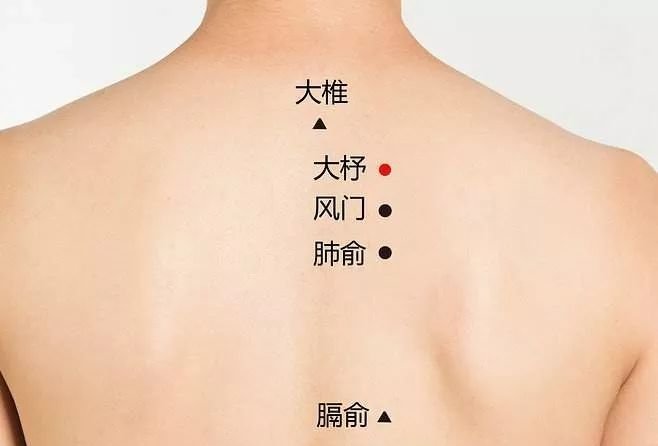有10个穴位艾灸堪比吃10种中药!太实用了 - 第10张 有10个穴位艾灸堪比吃10种中药!太实用了 - 第10张