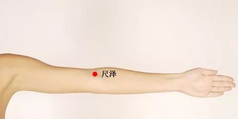 有10个穴位艾灸堪比吃10种中药!太实用了 - 第11张 有10个穴位艾灸堪比吃10种中药!太实用了 - 第11张
