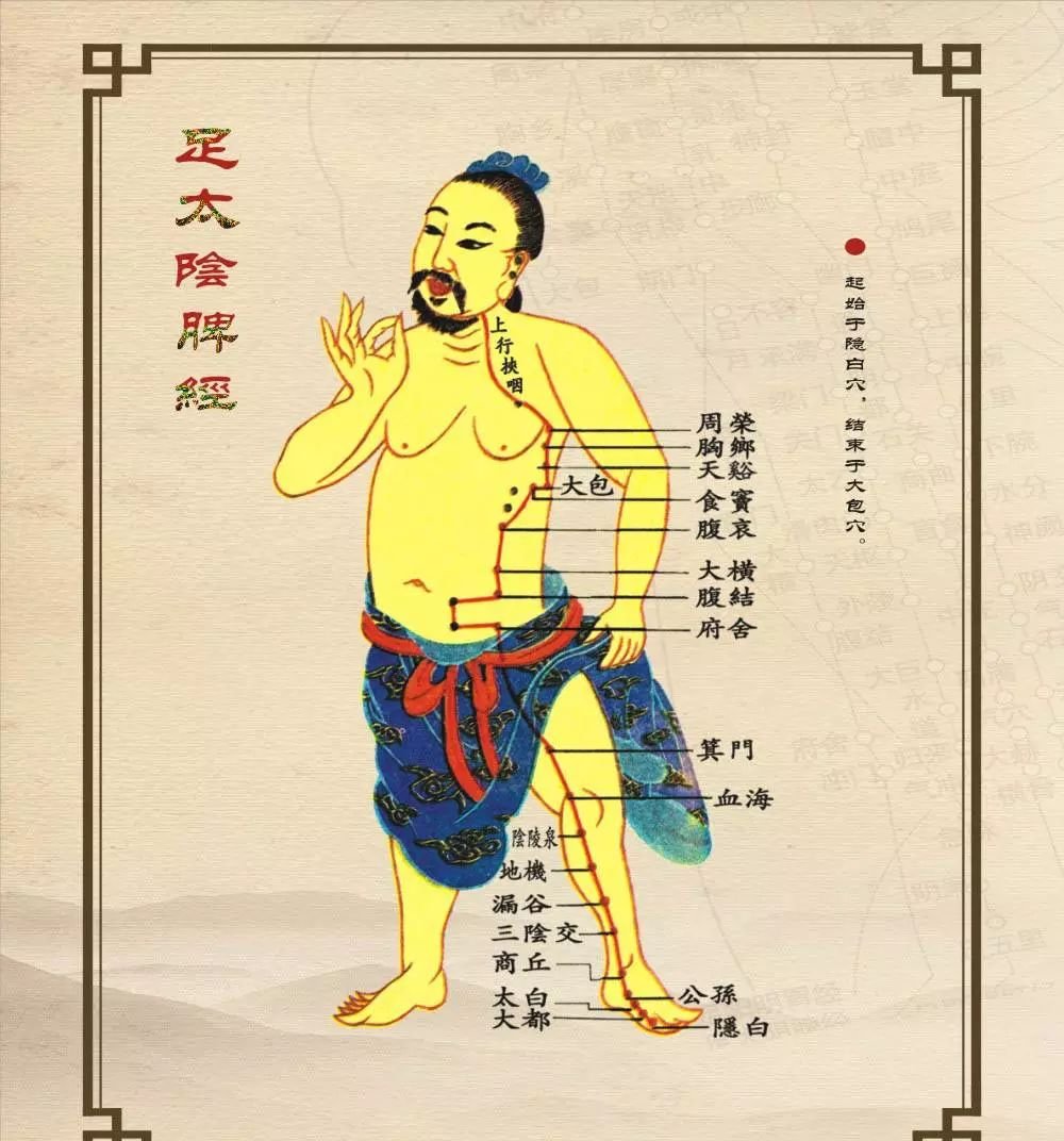 脾虚会变丑!这样养脾最靠谱! - 第5张 脾虚会变丑!这样养脾最靠谱! - 第5张