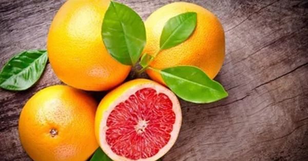今日立秋 | 下半年好不好,除了会灸,还要会吃! - 第13张 今日立秋 | 下半年好不好,除了会灸,还要会吃! - 第13张