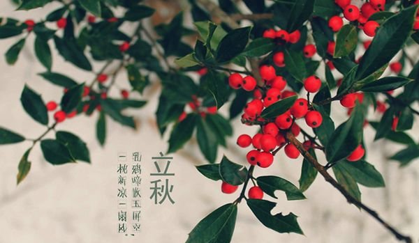 今日立秋 | 下半年好不好,除了会灸,还要会吃! - 第14张 今日立秋 | 下半年好不好,除了会灸,还要会吃! - 第14张