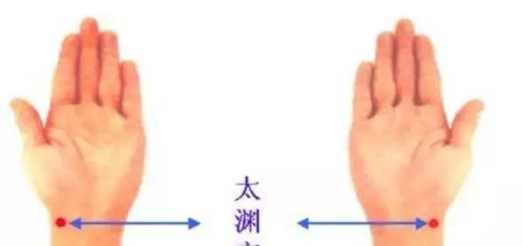 灸12原穴，断全身百病 - 第2张