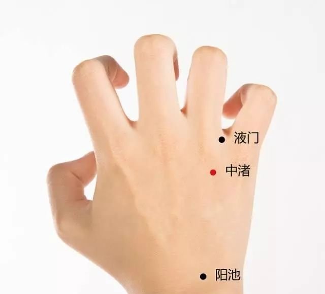 灸12原穴，断全身百病 - 第11张