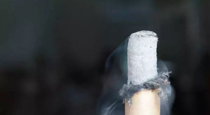 艾灰千万别扔,谁扔谁后悔! - 第2张 艾灰千万别扔,谁扔谁后悔! - 第2张