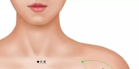 肺不好的人请记住:咳嗽气喘,就找太渊! - 第5张 肺不好的人请记住:咳嗽气喘,就找太渊! - 第5张