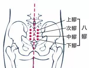 艾灸强身秘籍：凉上、暖下、温中央 - 第4张
