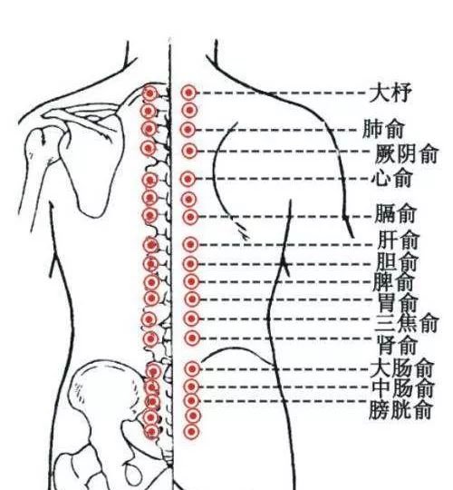 一种冷代表一种病,这样艾灸彻底解决! - 第5张 一种冷代表一种病,这样艾灸彻底解决! - 第5张