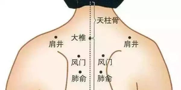 鼻炎就要冬病夏治!此时艾灸,疗效抵过秋冬10倍 - 第9张 鼻炎就要冬病夏治!此时艾灸,疗效抵过秋冬10倍 - 第9张