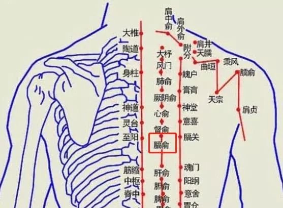 气血才是命根子!一个小方法,全身气血畅通,告别亚健康! - 第4张 气血才是命根子!一个小方法,全身气血畅通,告别亚健康! - 第4张