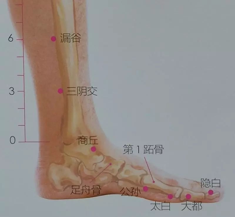 艾灸脚底一妙穴,彻底根除月经不调,痛经、脾胃病也管用 - 第3张 艾灸脚底一妙穴,彻底根除月经不调,痛经、脾胃病也管用 - 第3张