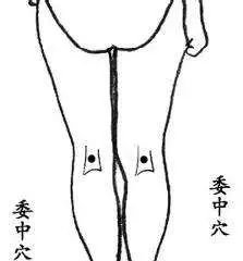 记住这八句口诀,你就是艾灸高手 - 第3张 记住这八句口诀,你就是艾灸高手 - 第3张