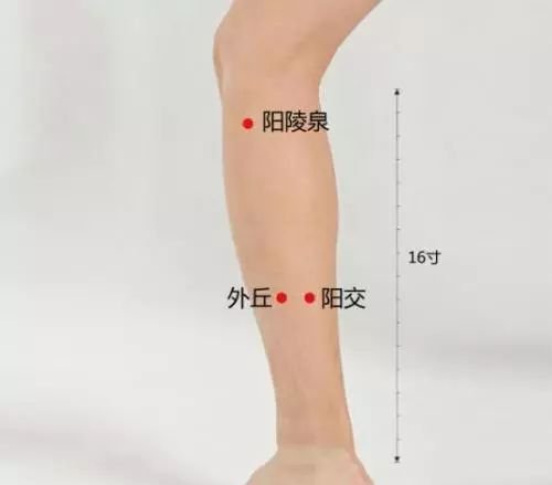 记住这八句口诀,你就是艾灸高手 - 第9张 记住这八句口诀,你就是艾灸高手 - 第9张