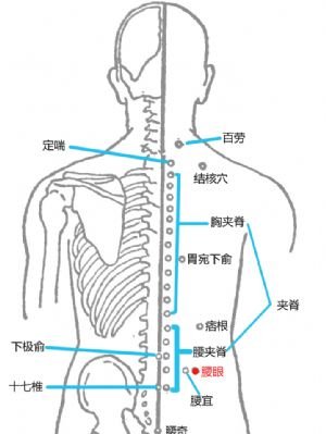 风湿关节病艾灸法,一学就会!冬病夏治正当时! - 第4张 风湿关节病艾灸法,一学就会!冬病夏治正当时! - 第4张