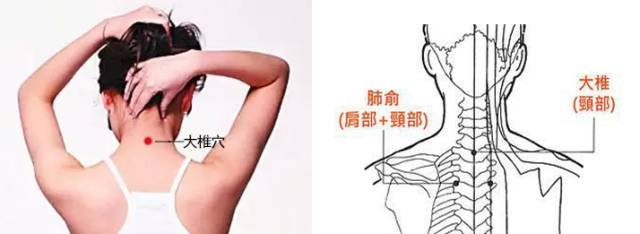 阳气不足百病生,这招”补阳大法“简单实用! - 第4张 阳气不足百病生,这招”补阳大法“简单实用! - 第4张
