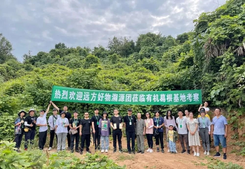 远方好物溯源团队考察有机葛根基地