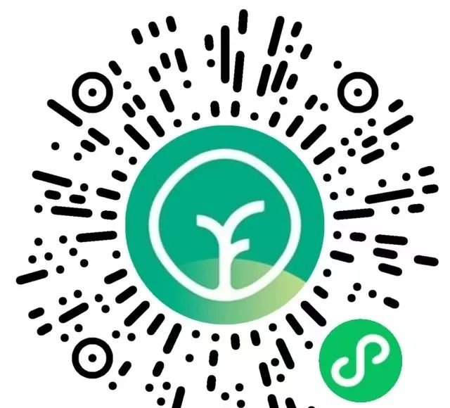 远方好物:以匠心守护品质,用真诚连接生活 - 第2张 远方好物:以匠心守护品质,用真诚连接生活 - 第2张